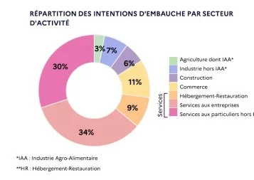 Haute-Garonne : un moteur de l'emploi régional malgré un léger ralentissement