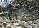 Klaus : pas de calme après la tempête