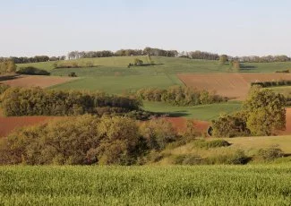 Environnement. Le Grand Albigeois encourage à planter des arbres pour réduire le bilan carbone 