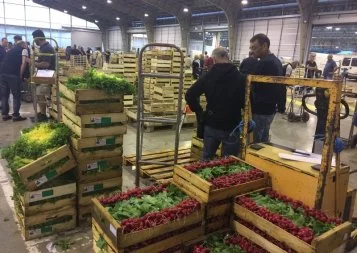 Toulouse. Les ambitions et la stratégie du nouveau patron du marché gare