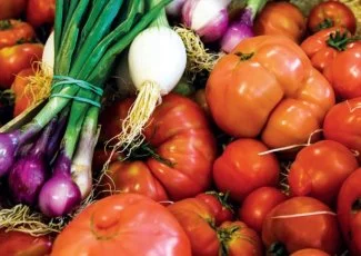 En région, le terreau fertile de l'alimentation bio