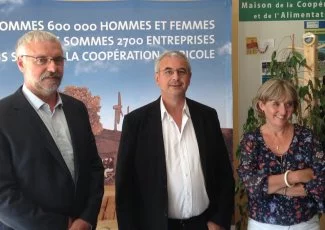 Naissance de Coop de France Occitanie