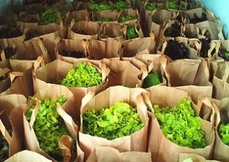 « Du Bio à Vous » fait fructifier ses paniers