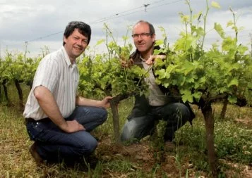 Domaine Rotier : trésor à trop petit prix