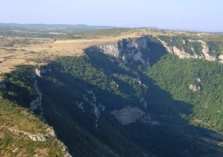 Dossier. Quand la biodiversité peut rapporter gros - 1ere partie 