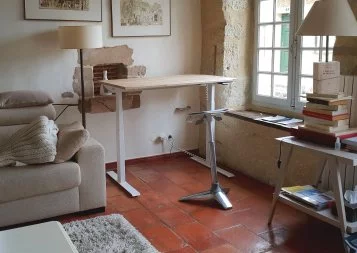 Télétravail. La société de Toulouse Makiba adapte ses bureaux électriques