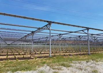 16 millions d'euros pour développer l'agrivoltaïsme en Occitanie
