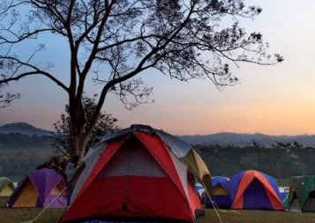 Midi-Pyrénées Languedoc-Roussillon. L'économie touristique attend son business model