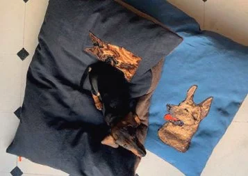 Haute-Garonne. Jocelin & marlaine, les coussins qui ont du chien