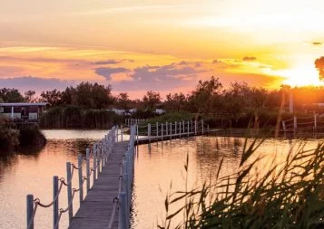 Mas de la Fouque : Week-end gipsy en Camargue