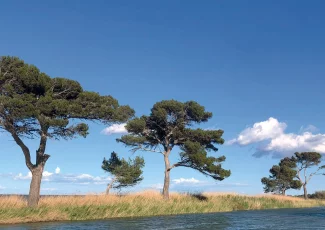 Le paradis trouvé de l'île Sainte-Lucie