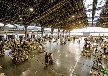 Le Grand Marché de Toulouse se positionne en pépinière d'entreprises