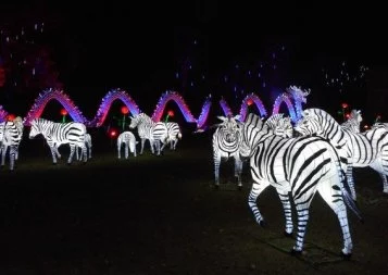 Gaillac : bon crû pour la première édition du Festival des lanternes 