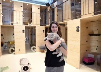 Le Georges Cat, premier palace pour chats près de Toulouse