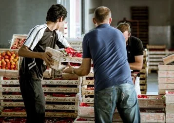 « MIN' d'Emplois » : le Grand Marché de Toulouse ouvre ses portes aux candidats