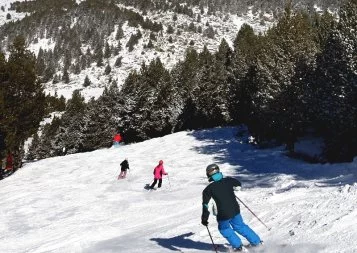 Pyrénées. Altiservice surfe sur la piste de la diversification de ses activités 