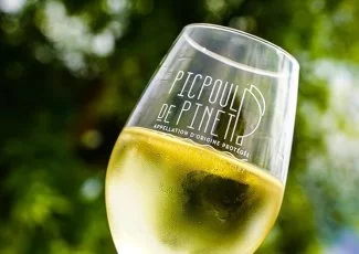 Premier salon des professionnels du vin à Montpellier