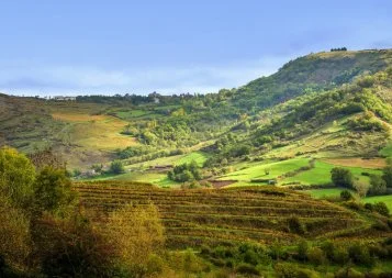 7/9. Dossier Attractivité : Le bonheur est (aussi) dans le pré