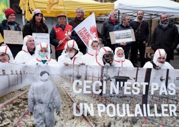 Marcher sur des oeufs