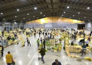 Lumin'Toulouse entend gérer le MIN de Toulouse dans une approche éco-responsable