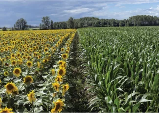 Plan France Relance : quatre projets régionaux, lauréats de l'appel à projets « Relocalisation »
