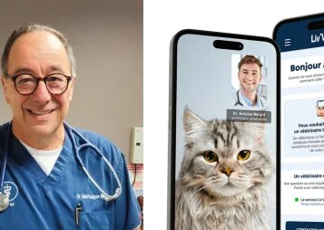 Liv'Vet. Une appli héraultaise pour faire une visio avec un véto 