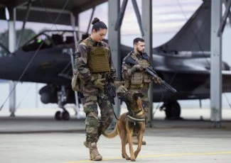 L'armée de l'Air fait le plein de talents !