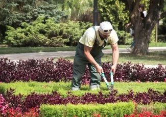 Les métiers des espaces verts en Occitanie