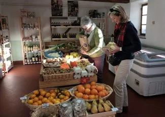 Bouge ton Coq pallie le manque de commerces dans les villages avec des épiceries participatives